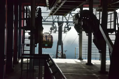 DSC_3692 (Large).JPG